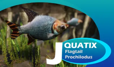 Flagtail Prochilodus - 新物种 (1.20)