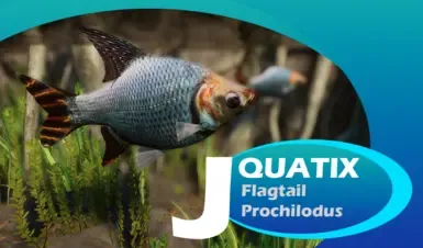 Flagtail Prochilodus - 新物种 (1.20)