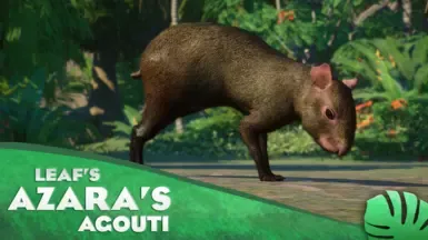 Azara's Agouti - 新物种 (1.20)