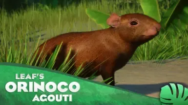 Orinoco Agouti - 新物种 (1.20)