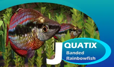 Banded Rainbowfish - 新物种 (1.20)