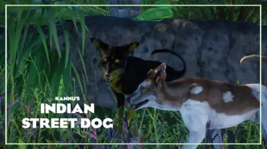 印度街头犬 - 新物种 (1.19)