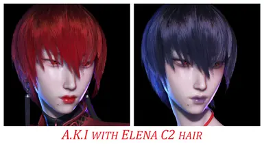 AKI 配 埃琳娜 C2 头发