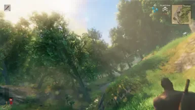 Valheim 头部追踪