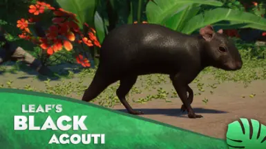 Black Agouti - 新物种 (1.20)
