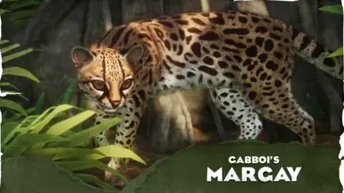 Margay - 新物种 (1.20)