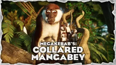 Collared Mangabey - 新物种 (1.19)