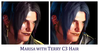 Marisa 的 Terry C3 发型