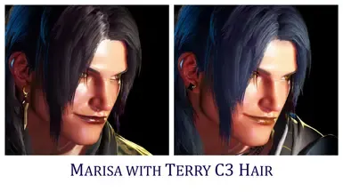 Marisa 的 Terry C3 发型