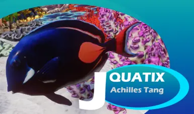 Achilles Tang - 新物种 (1.19)