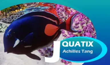 Achilles Tang - 新物种 (1.19)