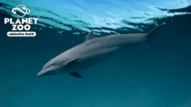 宽吻海豚 - 水族箱包新增物种 (1.20)