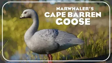 Cape Barren Goose - 新物种 (1.20)