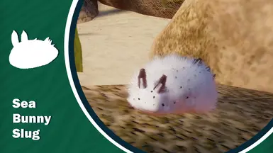 Sea Bunny Slug - 新展品物种 (1.19)