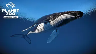 座头鲸 - 水族馆包 新物种 (1.13)