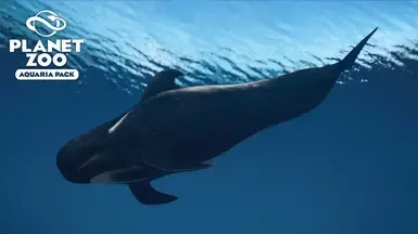 短鳍领航鲸 - 水族馆包 新物种(1.16)