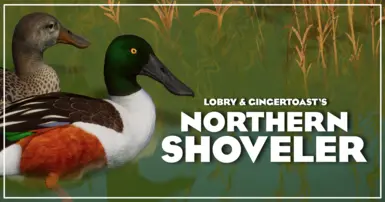 Northern Shoveler - 新品种 (1.18)