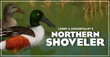 Northern Shoveler - 新品种 (1.18)
