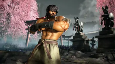 Ryu 战斗服装