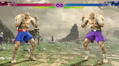 Sagat - C2 无护臂