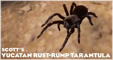 Yucatan Rust-rump Tarantula - 新展览物种 (1.20)