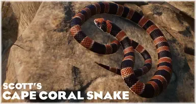 Cape Coral Snake - 新展品物种 (1.17)