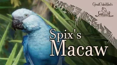 Spix's Macaw - 新物种(1.20)