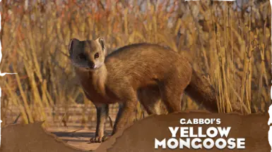 Yellow Mongoose - 新物种 (1.20)