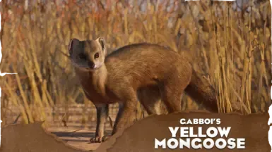 Yellow Mongoose - 新物种 (1.20)
