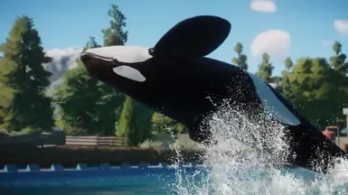 Orca 重制版 (V1)