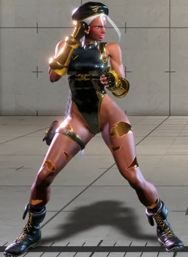 Cammy 黑金 C2 (插槽 10)