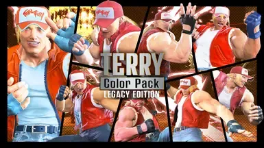 Terry - 传承色彩包