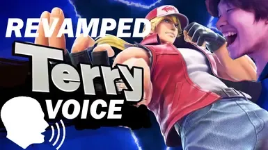 Terry SSBU 语音线交换