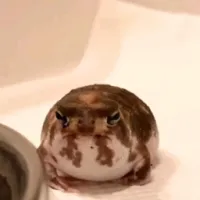 反游戏之剑