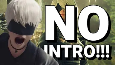 No-Intro (跳过启动画面 - 开场动画)