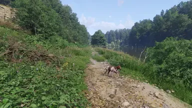 少雾