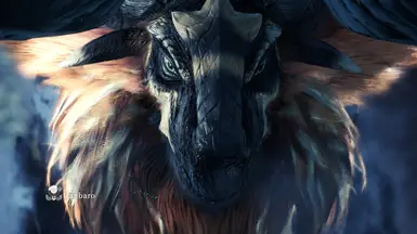 兜帽竹鼠