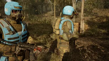 I.P.S.F. 致 联合国 NPC 制服