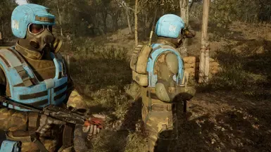 I.P.S.F. 致 联合国 NPC 制服