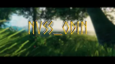 NVSS_Odin 适合维京人的ReShade