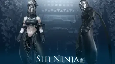 忍者市(Shi Ninja)
