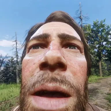 RDR2 存档文件