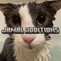 Jamal 补充
