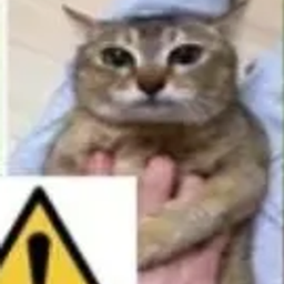 小猫苦力怕警报器
