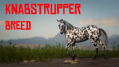 Knabstrupper 马品种