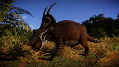 Achelousaurus（新物种）