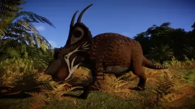 Achelousaurus(新物种)