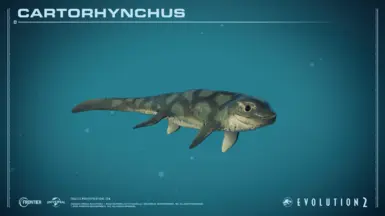 Cartorhynchus lenticarpus (新物种)
