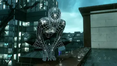 Raimi 战衣 共生体 自定义