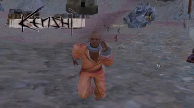 Recruit_Rebirth_Fix